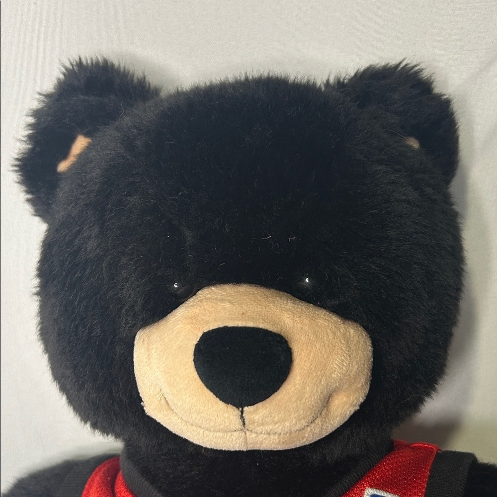 Build A Bear black Teddy Bear with Red Raptors Jersey, collectors, Toys - Picture 3 of 7